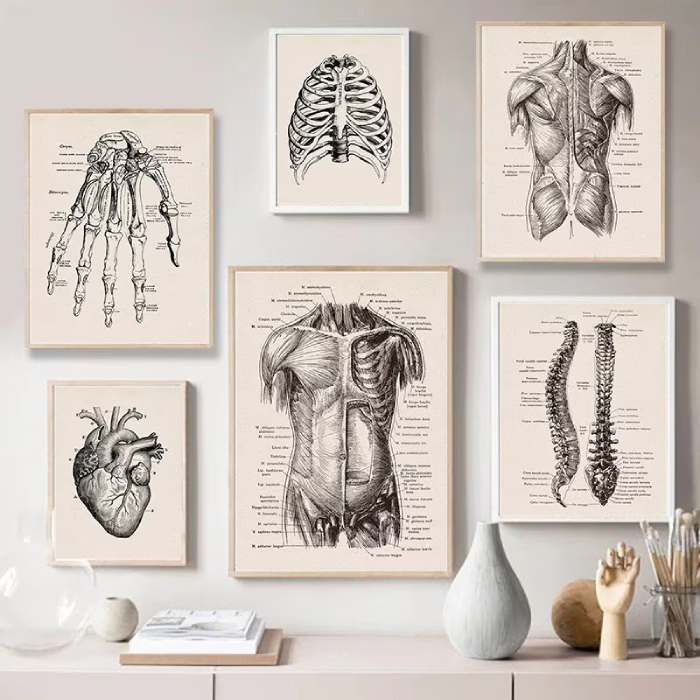 Medical Art and Decor for Aesthetically-Inclined Physicians