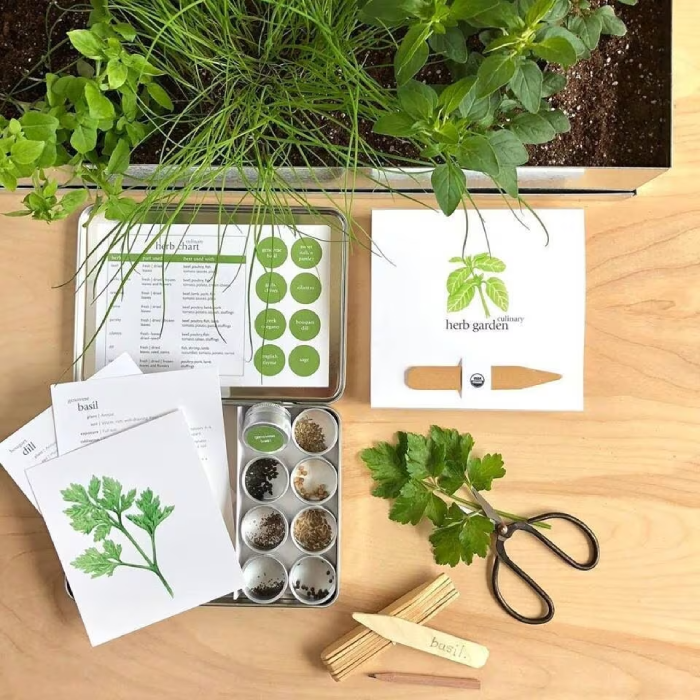 Compact Herb Garden Starter Kit