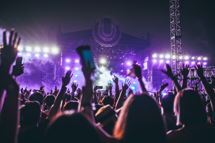 Concert or Festival Tickets